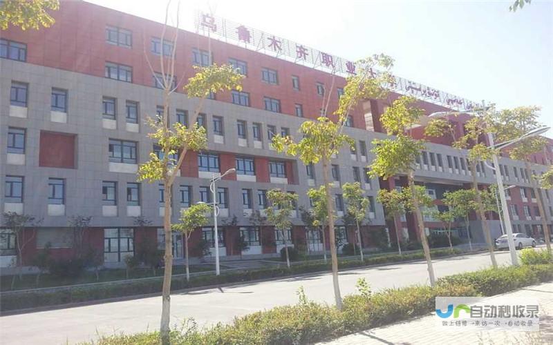 乌鲁木齐专业网站设计服务：提升企业在线可见度，助力业务增长