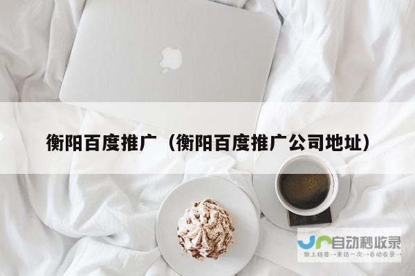 衡阳百度推广方案定制：专业团队、数据驱动，实现精准营销，最大化投资回报