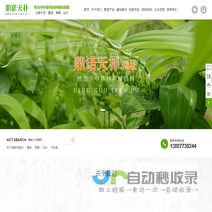 中草药种植_中草药批发_鼎诺天朴中草药_玉溪佳拓农业发展有限公司